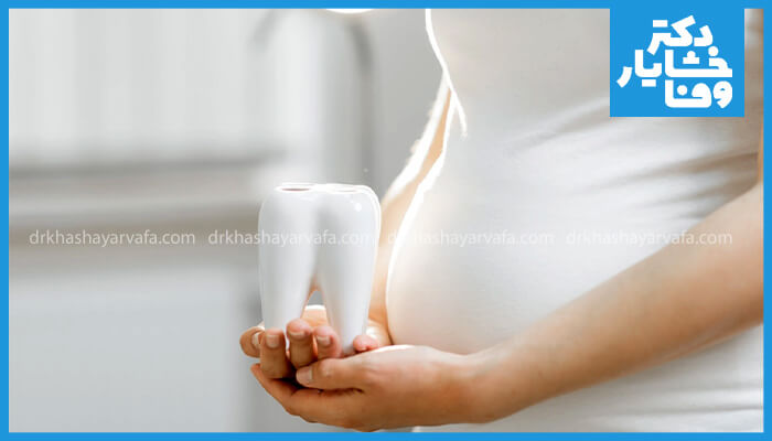 مدل بزرگ دندان در دست زن باردار، نماد اهمیت سلامت دندان در حاملگی و پیشگیری از ایمپلنت