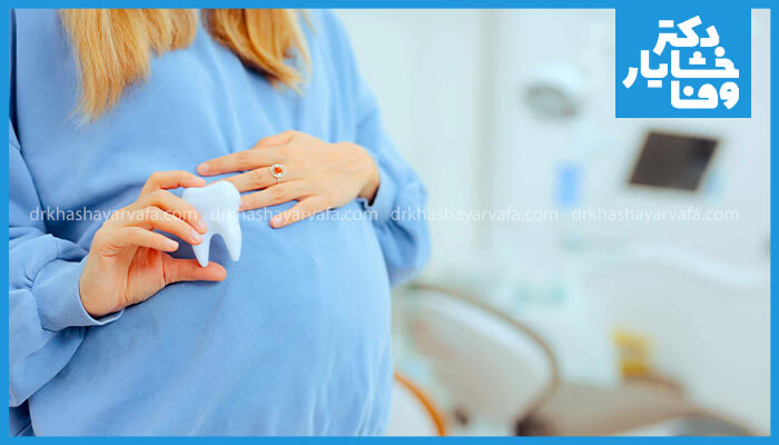 نمای نزدیک از یک زن باردار که دندان مصنوعی سفیدی را در دست گرفته است. اشاره به دندانپزشکی در دوران بارداری.